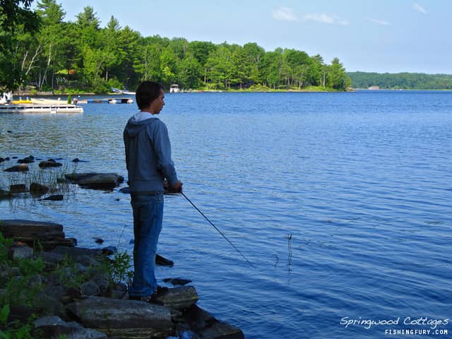 Fishing off the shore of Springwood Cottage Resort.